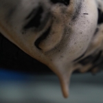 606595-MLU84803403767_052025