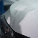 772252-MLU84362216194_052025