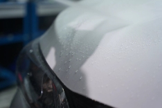 772252-MLU84362216194_052025